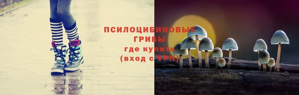 бутират Белокуриха