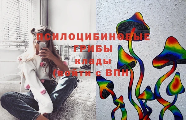 бутират Белокуриха